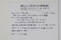 水鴨腳藏品圖，第2張