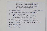 哈哼花藏品圖，第2張