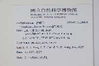 疏花鷗蔓藏品圖，第2張