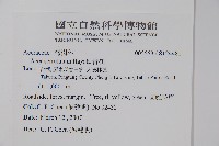 青楓藏品圖，第2張