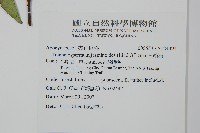 絡石藏品圖，第2張