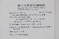 小錦蘭藏品圖，第2張