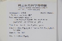 糊樗藏品圖，第2張