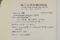 艾納香藏品圖，第2張