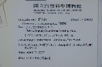 珊瑚樹藏品圖，第2張
