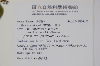 木蠟樹、山漆藏品圖，第2張