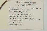 臺灣及己藏品圖，第2張