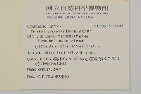 佩羅特木藏品圖，第2張