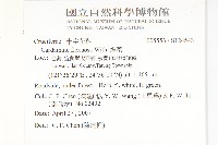 焊菜藏品圖，第2張