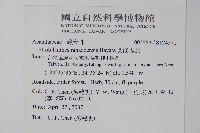 蘭嵌馬藍藏品圖，第2張