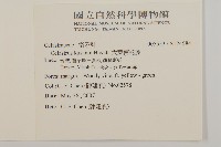 大葉南蛇藤藏品圖，第2張