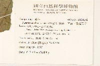 山苦藚、假福王草藏品圖，第2張