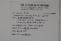 裡白忍冬、紅腺忍冬藏品圖，第2張