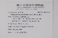 針刺草藏品圖，第2張