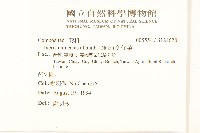 藤花椒藏品圖，第2張