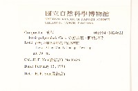 多頭苦菜、野剪刀股藏品圖，第2張