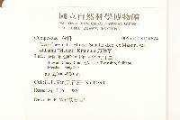 刀傷草藏品圖，第2張