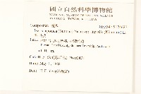 剪刀股藏品圖，第2張