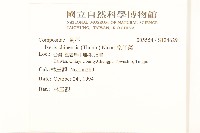 兔仔菜藏品圖，第2張