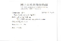 貓兒菊藏品圖，第2張