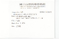 森氏山柳菊藏品圖，第2張