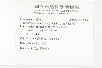 狗娃花藏品圖，第2張