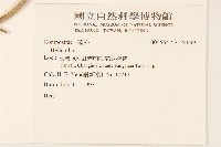 登錄號:S124639藏品圖，第2張