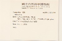 登錄號:S124640藏品圖，第2張