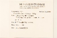 白鳳菜藏品圖，第2張