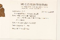 白鳳菜藏品圖，第2張