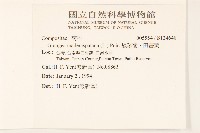 線球菊、田基黃藏品圖，第2張