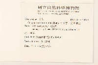 父子草、天青地白藏品圖，第2張