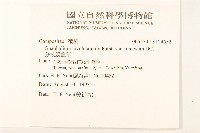 分枝鼠麴草藏品圖，第2張