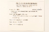 分枝鼠麴草藏品圖，第2張