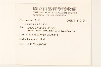 多莖鼠麴草藏品圖，第2張