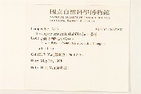 香茹藏品圖，第2張