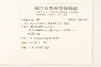 香茹藏品圖，第2張