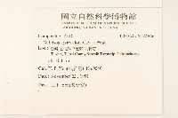 小米菊藏品圖，第2張