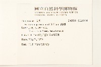 山菊藏品圖，第2張