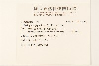 山菊藏品圖，第2張