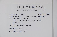 普剌特草藏品圖，第2張