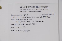 普剌特草藏品圖，第2張