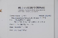 普剌特草藏品圖，第2張