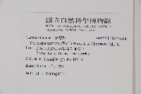 山桔梗藏品圖，第2張