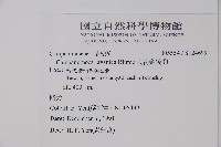 大花金錢豹藏品圖，第2張