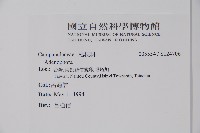 登錄號:S124706藏品圖，第2張