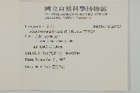 下田菊藏品圖，第2張