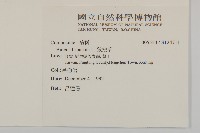 狼把草藏品圖，第2張