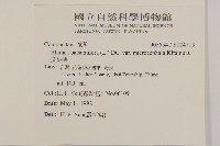 艾納香藏品圖，第2張