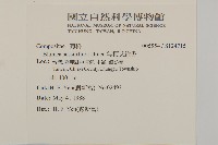 無梗艾納香藏品圖，第2張